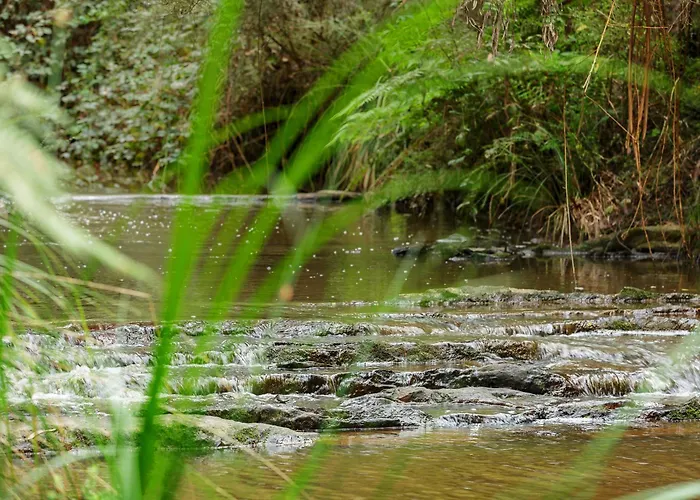 Valley Farm Vineyard Villas Healesville