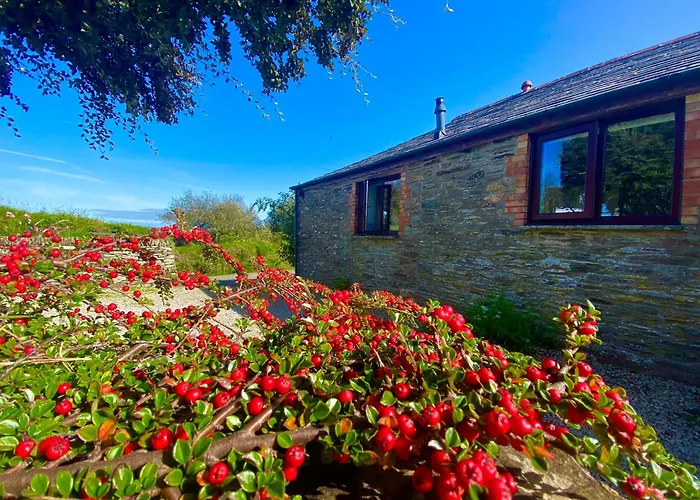 Polrunny Farm Elderberry Cottage With Sea View Boscastle