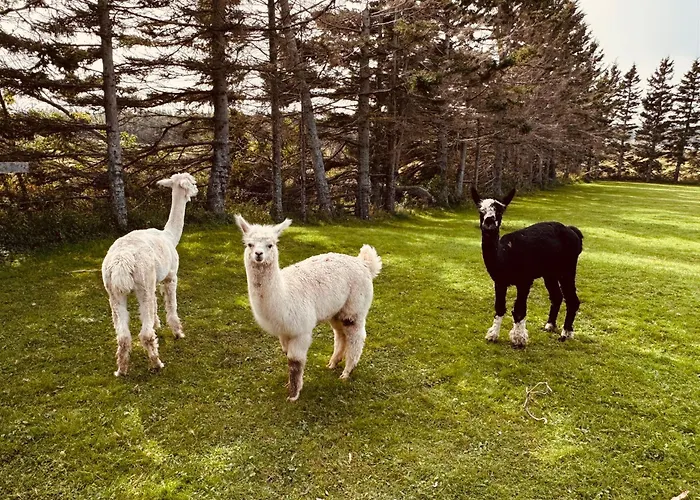 Island Life Cottages Brackley Beach