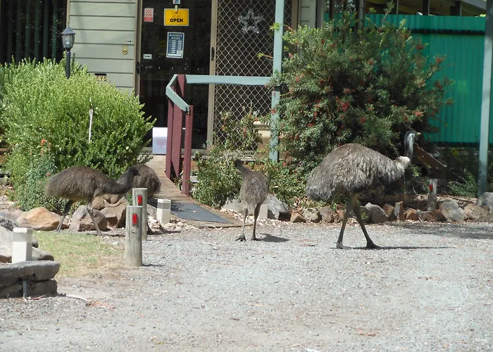 Grampians View Cottages And Units Halls Gap
