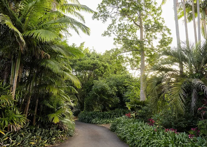 Montville Misty View Cottages