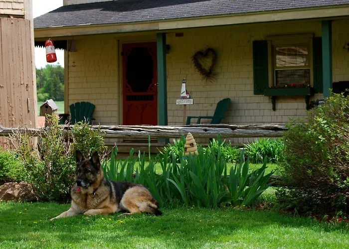 Bugaboo Cottages Bedeque