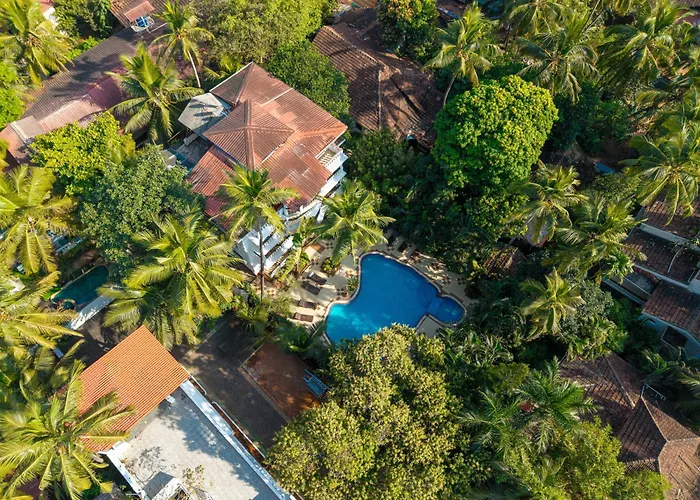 Olive Hotel Alidia Beach Resort By Embassy Group Baga