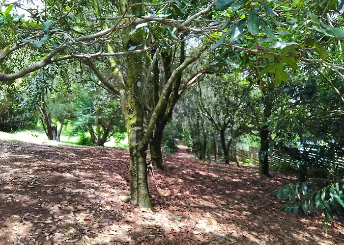 "On Burgum Pond" Cottages Maleny