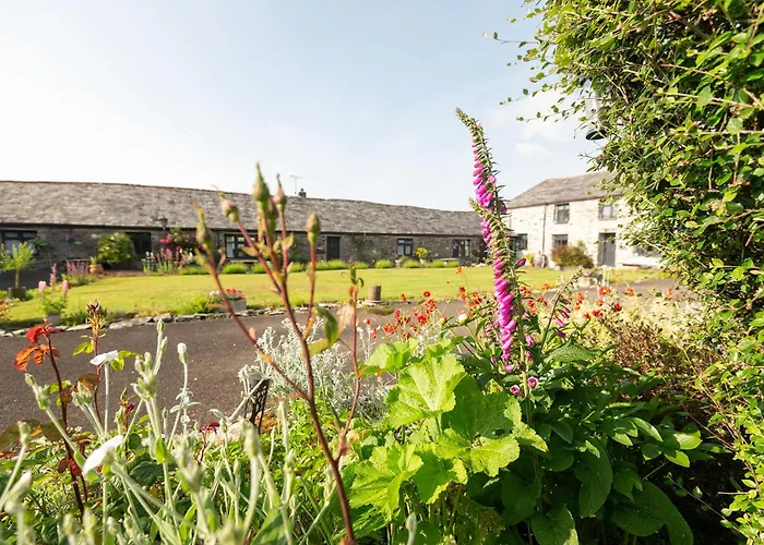Courtyard Farm Cottages Boscastle