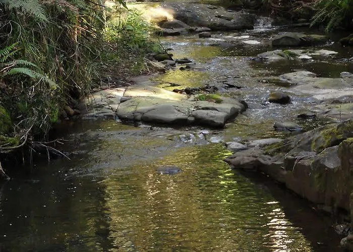King Parrot Cottages Lorne